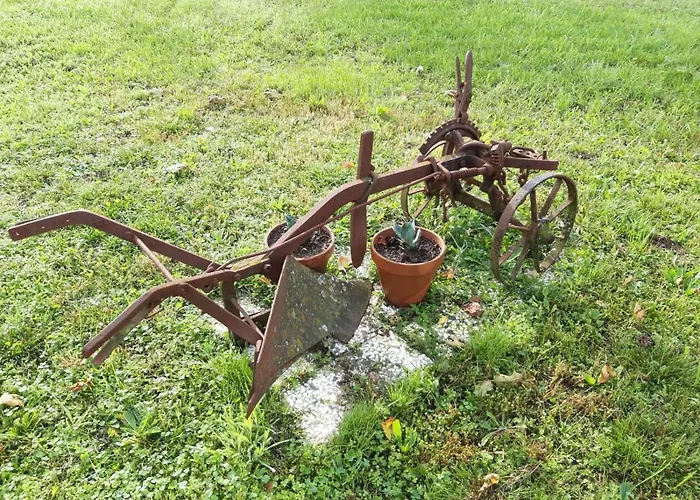 דירה Il Merlo Coderlo