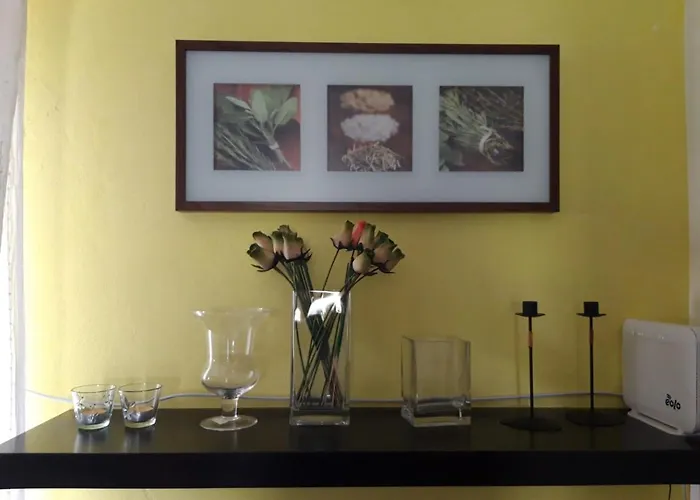 Il Merlo Coderlo * Scorcetoli