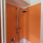 Il Merlo Coderlo Scorcetoli