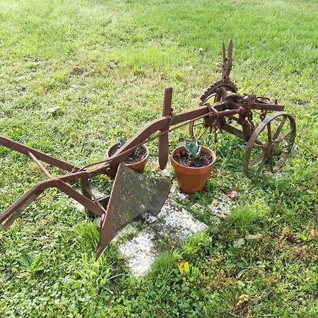 아파트 Il Merlo Coderlo