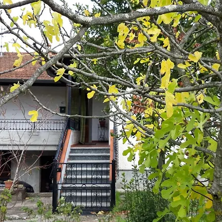 Il Merlo Coderlo 아파트