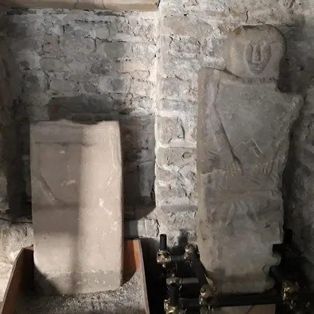 Il Merlo Coderlo