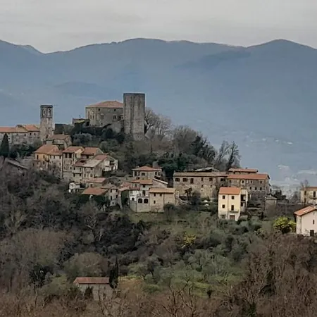 Il Merlo Coderlo * Scorcetoli