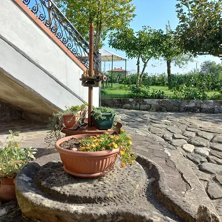 Il Merlo Coderlo 아파트