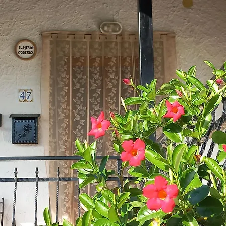 Il Merlo Coderlo *