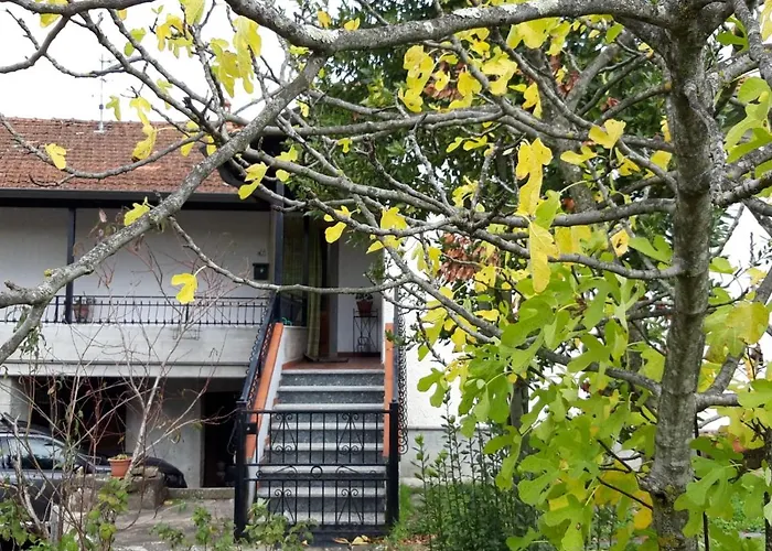 Il Merlo Coderlo Apartment