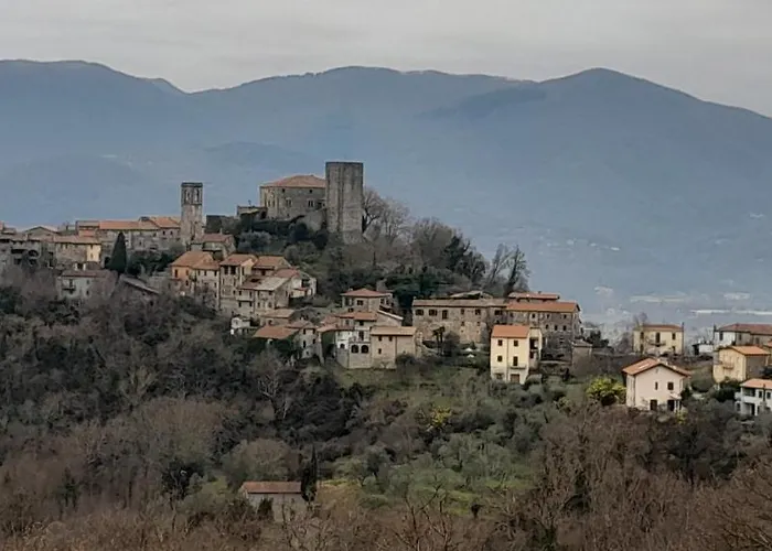 Il Merlo Coderlo * Scorcetoli