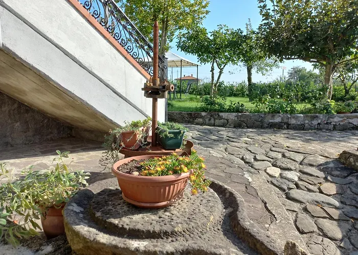 Il Merlo Coderlo Apartment